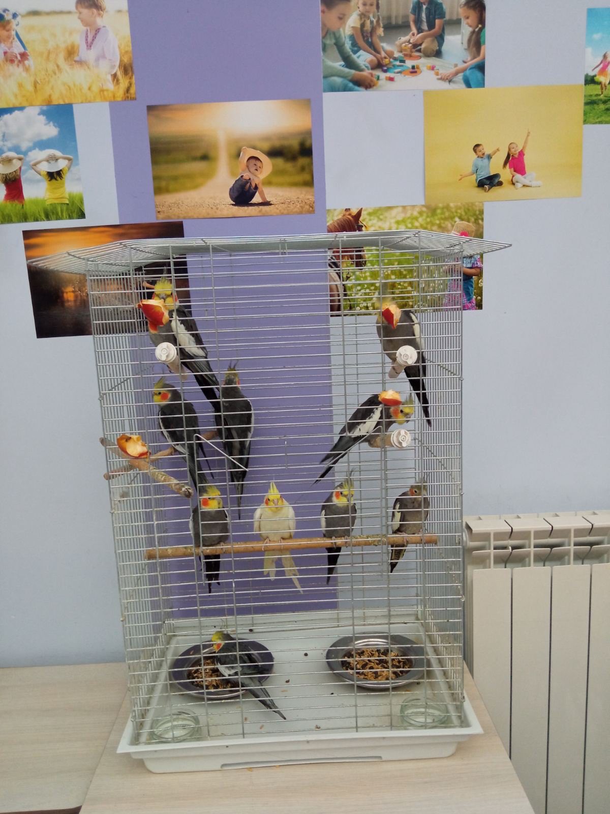 Хороший пансионат для пожилых в Днепре Хороший пансионат для пожилых в Днепре